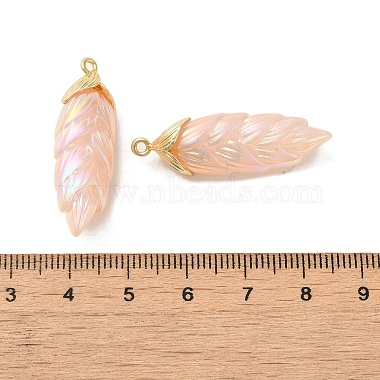 Rainbow Iridescent Plating Resin Pendants(RESI-C047-03A-G)-3