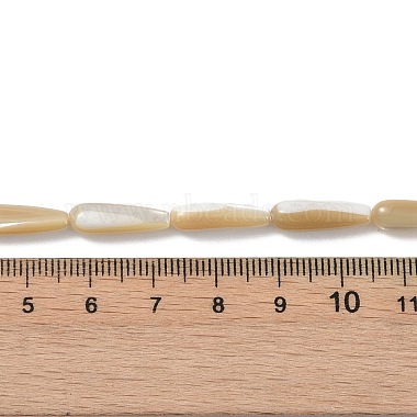 Natural Trochus Shell Beads(PEAR-B002-01B-B)-4