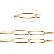 3.28 Feet Ion Plating(IP) 304 Stainless Steel Paperclip Chains, Soldered, Golden, 10x2.5x0.5mm(X-CHS-F010-01C-G-01)