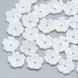 Freshwater Shell Beads, Flower, Seashell Color, 7.5x8x2mm, Hole: 0.8mm(SHEL-S275-019)
