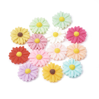Resin Cabochons, Flower/Daisy, Mixed Color, 23x22x7mm