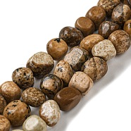 Natural Picture Jasper Bead Strands, Tumbled Stone, Nuggets, 3~7.5x4.5~6x3~6mm, Hole: 1mm, about 61~66pcs/strand, 15.16''~15.35''(38.5~39cm)(G-F465-56)