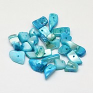 Dyed Natural Freshwater Shell Nuggets Chips Beads, Light Sky Blue, 10~20x5~15mm, Hole: 1mm, about 330pcs/500g(SHEL-O001-13C)