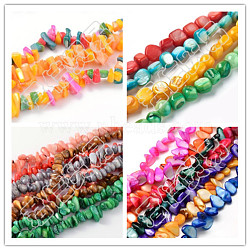 Natural Shell Beads Strands, Dyed, Chips, Mixed Color, 3~20x2~20x1~9mm, Hole: 0.5~1mm, about 49~440pcs/Strand, 14 inch~35 inch(35.56~88.9cm)(BSHE-MSMC001-04)