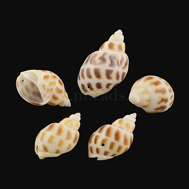 Sienna Shell Other Sea Shell Pendants