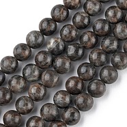 Natural Labradorite Beads Strands, Round, 10mm, Hole: 1mm, about 36~37pcs/strand, 15 inch(G-G0003-C03-10mm)