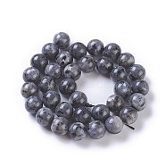 Natural Labradorite Beads Strands, Round, 12mm, Hole: 1.2mm, about 31~33pcs/strand, 15.3 inch~15.75 inch(39~40cm)(G-P428-09A-12mm)