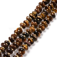 Natural Tiger Eye Beads Strands, Chip, Dyed & Heated, 5~18x3~9x2~5mm, Hole: 1mm, about 67~69pcs/strand, 15.55''(39.5~40cm)(G-D480-A02-02)