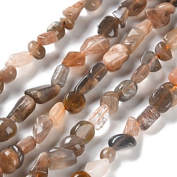 Natural Black Sunstone Beads Strands, Nuggets, Tumbled Stone, 4.5~11.5x3~7x3.5~6mm, Hole: 1~1.2mm, about 48~68pcs/strand, 15.35~15.94''(39~40.5cm)(G-P497-01C-16)