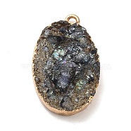 Resin Imitation Druzy Gemstone Pendants, Oval Charm, with Light Gold Tone Iron Findings and Paper Scrap Inside, Black, 27~28x17.5x9mm, Hole: 1.8mm(CRES-F022-01)