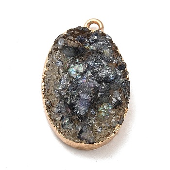 Resin Imitation Druzy Gemstone Pendants, Oval Charm, with Light Gold Tone Iron Findings and Paper Scrap Inside, Black, 27~28x17.5x9mm, Hole: 1.8mm