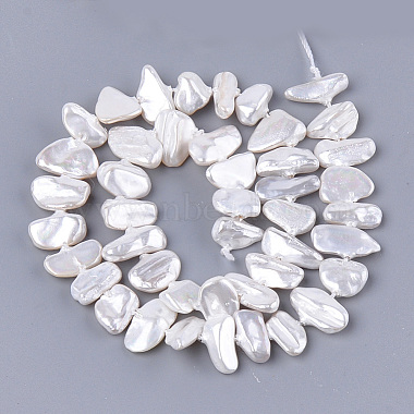 Electroplate Shell Pearl Beads Strands(X-SSHEL-S261-01F)-2