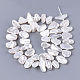 Electroplate Shell Pearl Beads Strands(X-SSHEL-S261-01F)-2