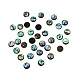 cabochons de concha paua(SHEL-WH0001-002B)-1