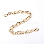 Acrylic Bag Strap Chains, with Alloy Clasps and Aluminum Chain, for Bag Replacement Accessories, Light Gold, 34.7x1x0.75cm(AJEW-WH0176-78)