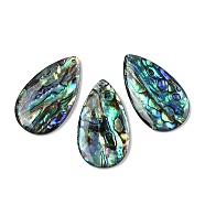 Natural Paua Shell Pendants, Teardrop Charms, 38x22x4mm, Hole: 1.5mm(SSHEL-I026-08B)