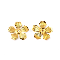 5-Petal Iron Bead Caps, Flower, Golden, 33x34x3mm, Hole: 2.5mm(IFIN-WH0070-02G)