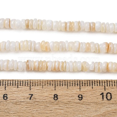 Natural Freshwater Shell Beads Strands(SH-CBA2978-05A)-4