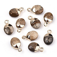 Natural Picture Jasper Charms, Top Light Gold Plated, with Iron Loop, Oval, Faceted, 14~15x8x5mm, Hole: 1.8mm(G-N326-58D)