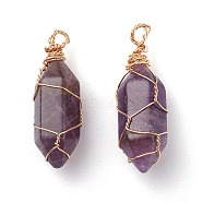 Natural Amethyst Pendants, with Real 18K Gold Plated Eco-Friendly Copper Findings, Bullet, 27x9mm, Hole: 1.8mm(PALLOY-JF00801)