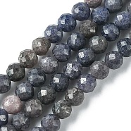 Natural Sapphire Beads Strands, Faceted, Round, 3mm, Hole: 0.8mm, about 140pcs/strand, 15.35 inch(39cm)(G-F748-M01-02)