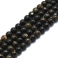 Natural Biotite Beads Strands, Round, 6mm, Hole: 1mm, about 67pcs/strand, 15.75''(40cm)(G-P457-C02-01)
