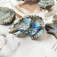 Natural Labradorite Carved Figurines Statues for Home Office Desktop Decoration, Eagle, 40mm(PW-WG11844-02)