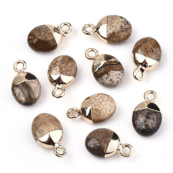 Natural Picture Jasper Charms, Top Light Gold Plated, with Iron Loop, Oval, Faceted, 14~15x8x5mm, Hole: 1.8mm