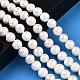 Natural Cultured Freshwater Pearl Beads Strands(PEAR-N013-09C)-2