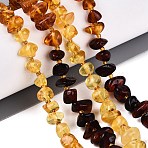 Gradient Color Natural Amber Beads Strands, Chip, with Seed Beads, 5~11x5~8x3.5~7.5mm, Hole: 0.6~0.7mm, about 58~60pcs/strand, 13.78~14.37 inch(35~36.5cm)(G-N371-11A-01)