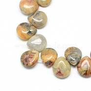 Natural Crazy Agate Gemstone Beads Strands, Top Drilled Beads, Teardrop, 12x9~10x5~6mm, Hole: 1mm, about 33pcs/strand, 9.84 inch(X-G-T005-09)