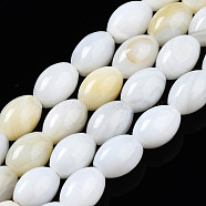 Natural Freshwater Shell Beads Strands, Barrel, Seashell Color, 7.5x5.5x5.5mm, Hole: 1mm, about 49pcs/strand, 14.41~15.04 inch(36.6~38.2cm)(SHEL-Q024-022)