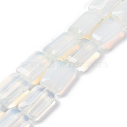 Opalite Beads Strands, Rectangle, 18x13.5x5.5mm, Hole: 1.2mm, about 22pcs/strand, 15.75 inch(40cm)(G-T047-B30-01)