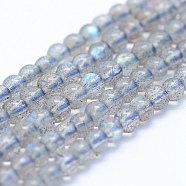 Natural Labradorite Beads Strands, Grade A++, Round, 3mm, Hole: 1mm, about 120pcs/strand, 15.5 inch(39.5cm)(G-P342-09A-3mm-A++)