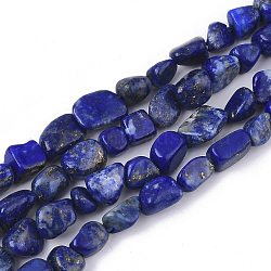 Natural Lapis Lazuli Beads Strands, Nuggets, Tumbled Stone, 5~11x5~8x3~6mm, Hole: 0.8mm, about: 52~56pcs/Strand, 15.94 inch(40.5cm)(G-S363-044)