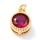 Real 18K Gold Plated Brass Inlaid Cubic Zirconia Charms(ZIRC-L100-081G-07)-2