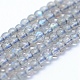 Natural Labradorite Beads Strands(G-P342-09A-3mm-A++)-1