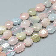 Natural Morganite Beads Strands, Nuggets, 8~12x8~10x3~9mm, Hole: 1mm, about 42pcs/strand, 16.3 inch(X-G-S264-03)