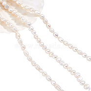 3 Strands 3 Styles Natural Cultured Freshwater Pearl Beads Strands, Rice & Two Sides Polished, Creamy White, 6~14.5x3.5~6.5mm, Hole: 0.6~1mm, about 1 strand/style(PEAR-NB0001-86)