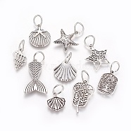 Tibetan Style Alloy Pendants, Mixed Shapes, Antique Silver, 15~31x12~21x1~5mm, Hole: 7mm(PALLOY-F224-02AS)