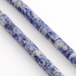 Natural Blue Spot Jasper Bead Strands, Column, Blue, 6x6mm, Hole: 1mm, about 66pcs/strand, 15.7 inch(X-G-R187-06)