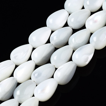 Natural Trochid Shell/Trochus Shell Beads Strands, Teardrop, Bleach, Seashell Color, 9x6mm, Hole: 0.7mm, about 46~47pcs/strand, 15.75 inch(40cm
