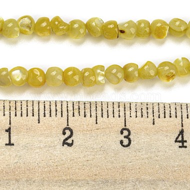 Natural White Shell Dyed Beads Strands(BSHE-Z005-03F)-4