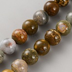 Natural Ocean Jasper Bead Strands, Round, 10mm, Hole: 1mm, about 40pcs/strand, 15.83 inch(40.2cm)(G-WH0016-50)