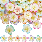 60Pcs 6 Colors Opaque Resin Decoden Cabochons, Frangipani Flower, Mixed Color, 24.5x24.5x5.5mm, 10pcs/color(RESI-SC0005-83D)