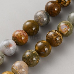 Natural Ocean Jasper Bead Strands, Round, 10mm, Hole: 1mm, about 40pcs/strand, 15.83 inch(40.2cm)(G-WH0016-50)