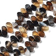 Natural Agate Beads Strands, Dyed & Heated, Top Drilled, Teardrop, Coconut Brown, 8x5x3mm, Hole: 0.8~1mm, about 52~55pcs/strand, 7.48~7.87 inch(19~20cm)(G-G021-04A-08)