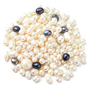Shell Pearl Beads, Oval, Mixed Color, 6~10x3~10x2.5~10mm, Hole: 0.6~1mm(BSHE-XCP0001-06)