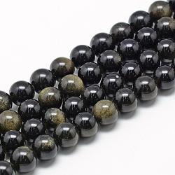 Natural Golden Sheen Obsidian Beads Strands, Grade AB, Round, 6~7mm, Hole: 1mm, about 60~67pcs/strand, 15.7 inch(G-R446-6mm-22)