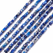 Natural Lapis Lazuli Beads Strands, Faceted, Cube, 2x2x2mm, Hole: 0.5mm, about 210pcs/strand, 15.87 inch(40.3cm)(G-L581C-001)